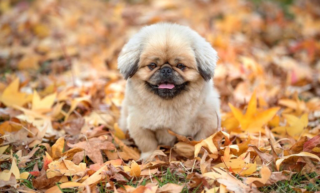 夜勤明けに仮眠は必要か？
