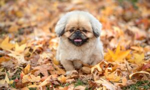 夜勤明けに仮眠は必要か？