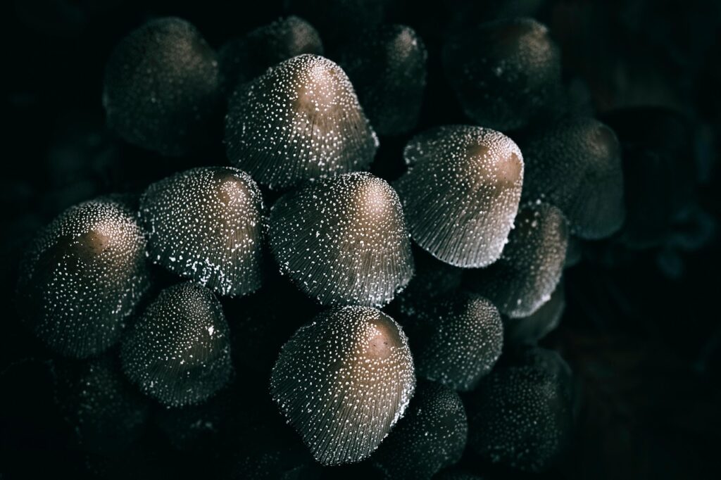 ライン作業をする男性が夜勤後に起床した後のだるさ対策は？