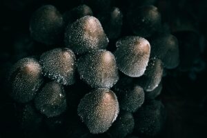 ライン作業をする男性が夜勤後に起床した後のだるさ対策は？