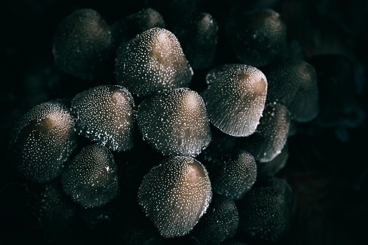 ライン作業をする男性が夜勤後に起床した後のだるさ対策は？