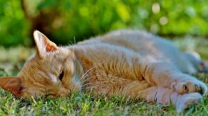 夜勤明けに寝れないときのつらい対処法は？