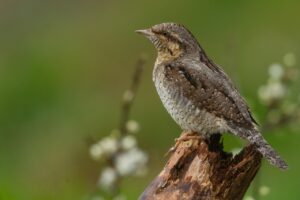 製造現場で働く男性が夜勤後のひどい肩こりを改善する方法は？