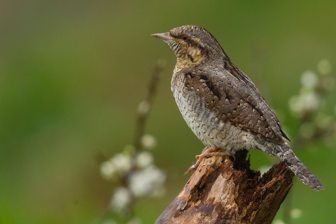 製造現場で働く男性が夜勤後のひどい肩こりを改善する方法は？