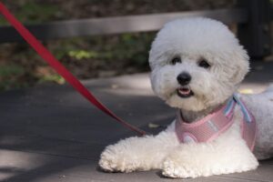 製造業の男性が夜勤明けに交感神経を高いままにしないための下げ方は？