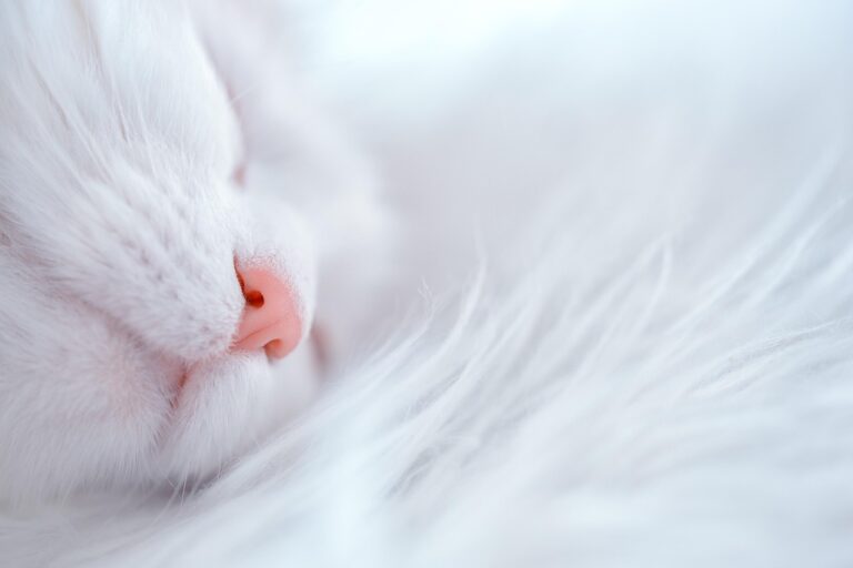 夜勤明けの睡眠はどう確保すればいい？