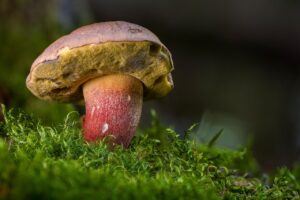 昼眠れない時の効果的な回復方法は？